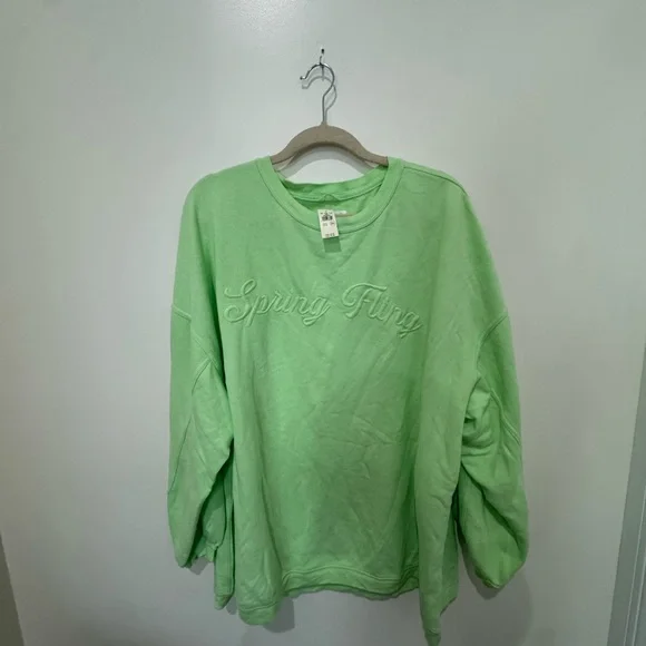 Aerie Light Green Embroidered Sweatshirt - Picture 2 of 4